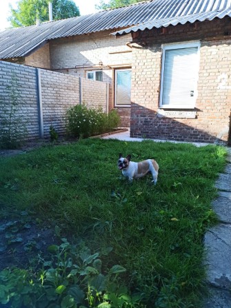 Частина будинку Бородинський р-н - фото 1