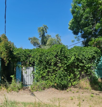 Продам домик на причале 5 - фото 1