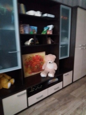 Оренда 1-кімнатної квартири у Вишневому новобудова - фото 1