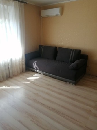 Однокомнатная на Дзержинке - фото 1