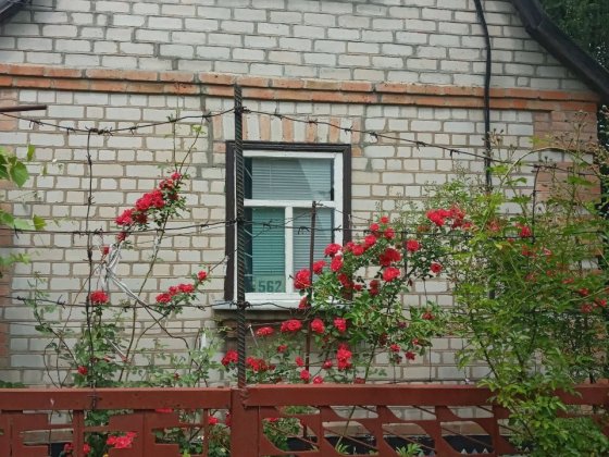 Дача в садовому товаристві Колос