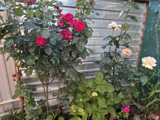 Частный дом в черте города !!! Одеса