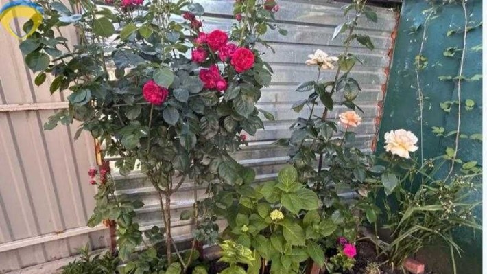 Частный дом в черте города !!! - фото 1