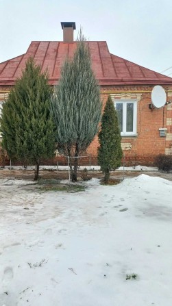 Продається будинок Двурічний кут - фото 1