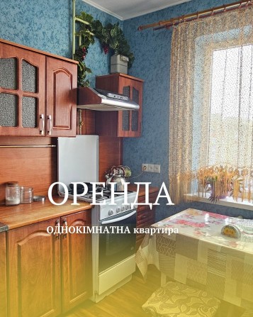 Оренда однокімнатної квартири - фото 1