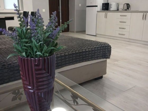 Оренда 1-кімнатної квартири, Ювілейний, можна на 1-2  місяці Рівне