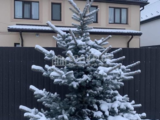 2-эт. дом, 92м2, 2.5 сот, Петропавловская Борщаговка, Полтавская 5А, с Петропавловская Борщаговка