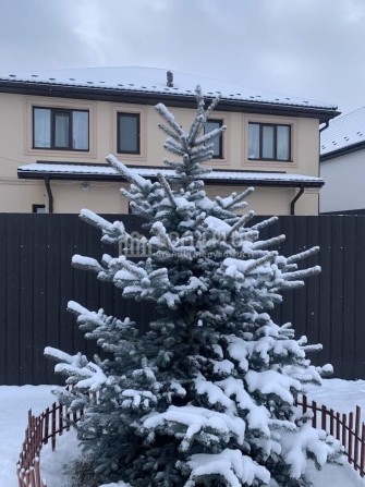 2-эт. дом, 92м2, 2.5 сот, Петропавловская Борщаговка, Полтавская 5А, с - фото 1