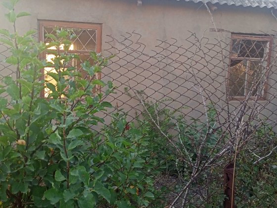 Продається дачний будинок. СТ Пруди