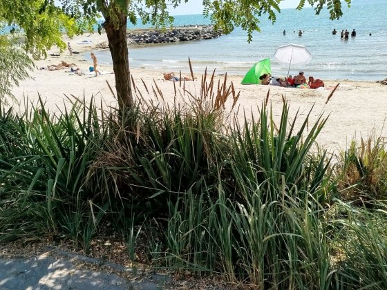 Продам дачу  у моря   Вапнярка