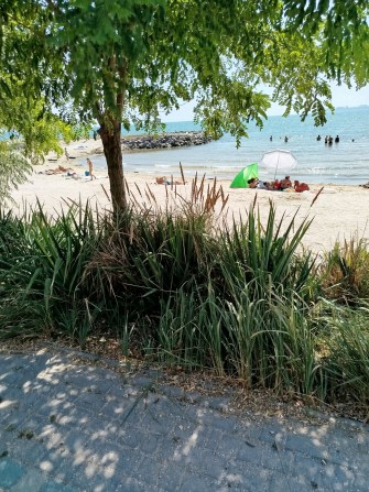 Продам дачу  у моря   Вапнярка - фото 1