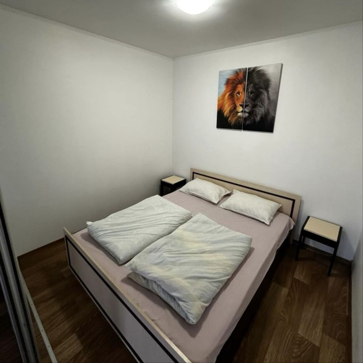 Центр новобудова  ліжко + диван - фото 1