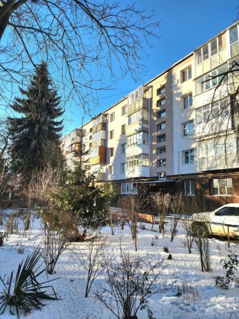 Оренда 1 кімнатної квартири в центрі - фото 1