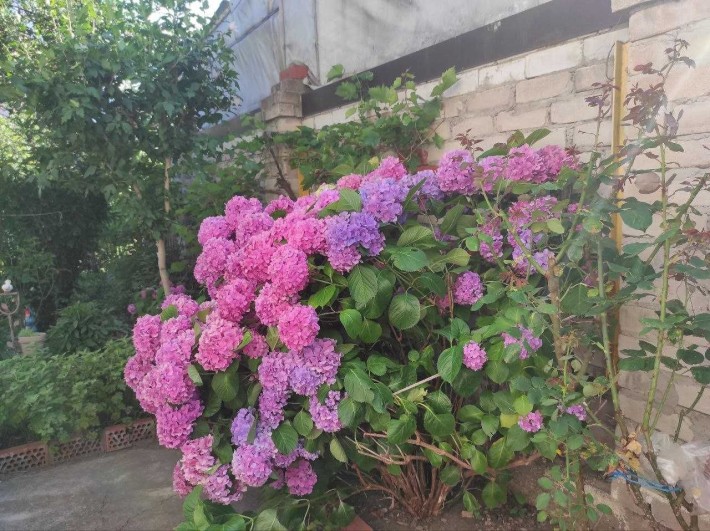 Фасадная часть дома на Чубаевке - фото 1