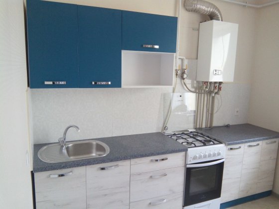 Перемоги 119а, центр, автономка, 1-кімн, власник Чернигов