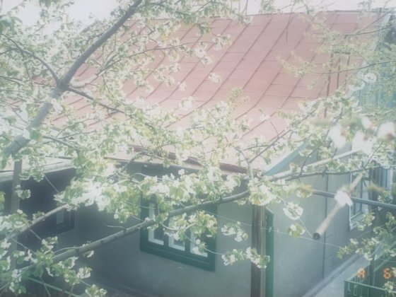 Продам отдельно стоящий дом в районе Аэропортовского от хозяина Одеса