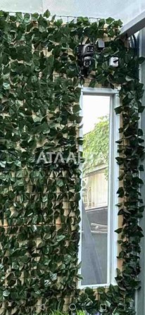 Летняя дача в Крыжановке - фото 1