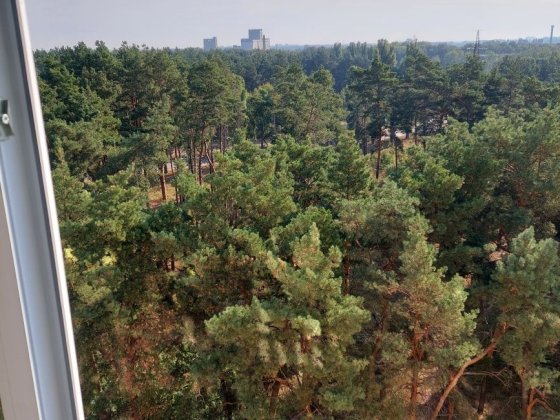 Масаны  Аренда большой 1 ком Чернигов