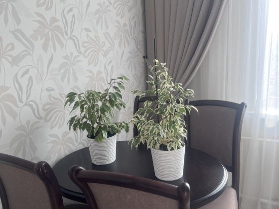 Здам 2к Вишенька. Євроремонт Вінниця