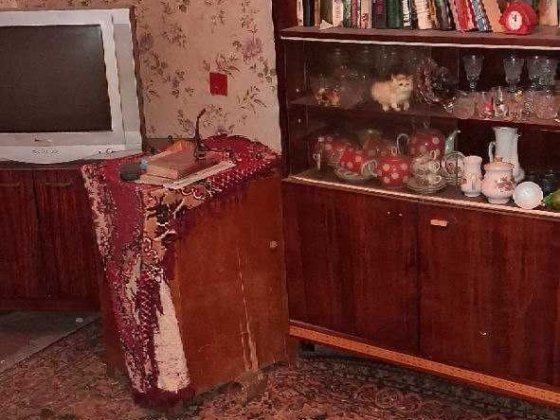 сдам 1-комн квартиру на Лизы Чайкиной Запорожье