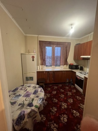 1-ка в с .Новому з усіма зручностями - фото 1