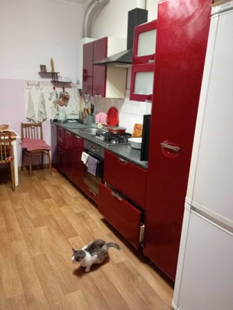 Оренда 1к в особняку вул.Братів Климових - фото 1