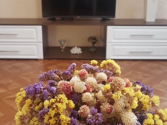 Сдаётся без комисии 2ка  на Фрунзе/Галины Петровой Николаев