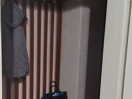 Здам квартиру на Відродження, власник, Агентства прошу не турбувати! Липини