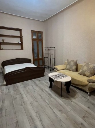 Реальная 1-к квартира Центр, Ярослава Мудрого, Пушкинская - фото 1