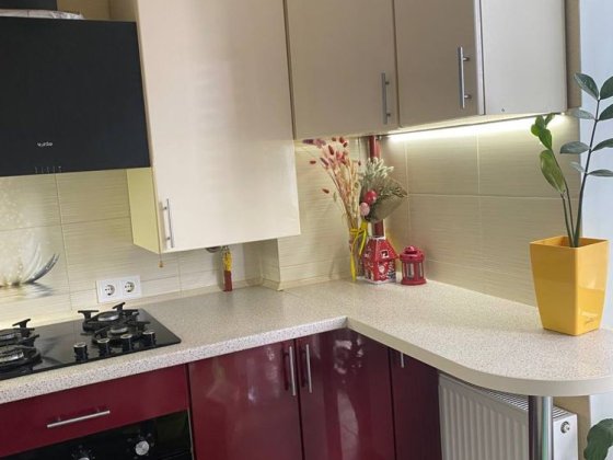 Власник Квартира Європейка Святопетровское