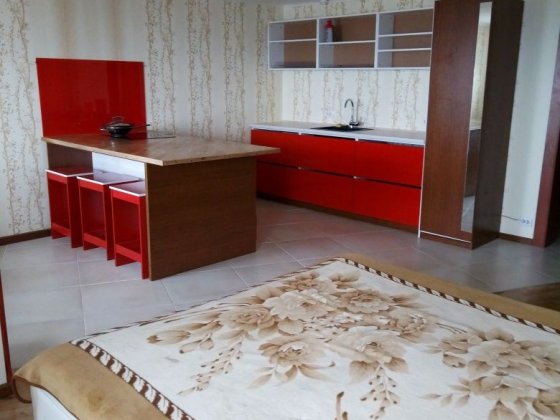 Студія 56 м ,генератор ,власник . Київ