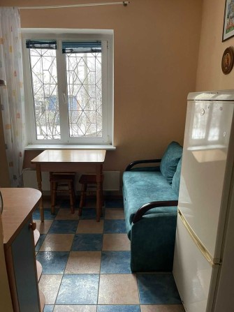 Уютна затишна 1 кім квартира 1 пов. біля пляжу Дніпра метро 10-15 мин - фото 1