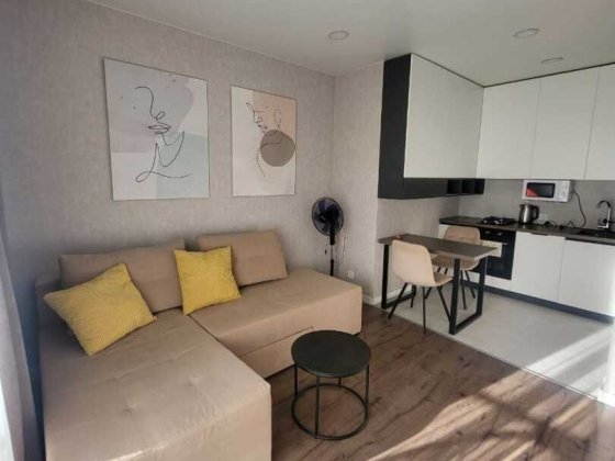 Оренда 1-кімнатної квартири вул.Пасічна Львів Львов