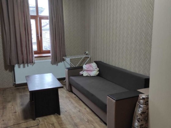 Пропозиція оренди 1 кім. квартири по вул. Личаківська (Ближній Центр) Львов