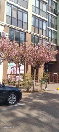 Сдам 1 кімнатну Жк Лісова Казка вул. РАДИСТІВ 34 Г - фото 1