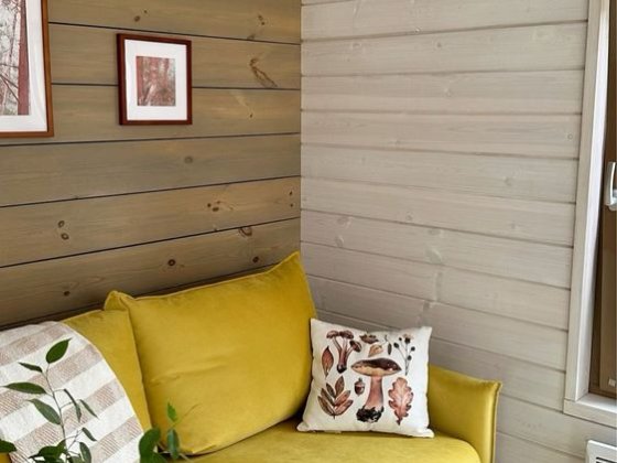 Порядна родина з 3 осіб та охайним котиком шукає будинок для оренди Самар