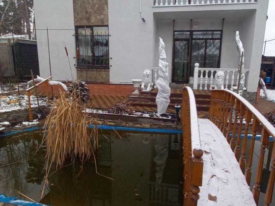 Будинок з газом, генератором та ДБЖ. Буча