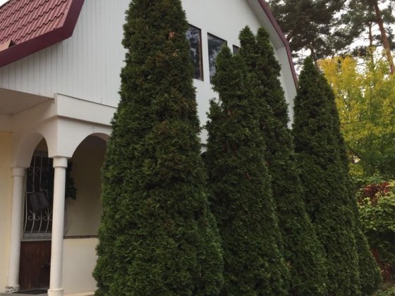 Здам в оренду Будинок в Бучі Буча