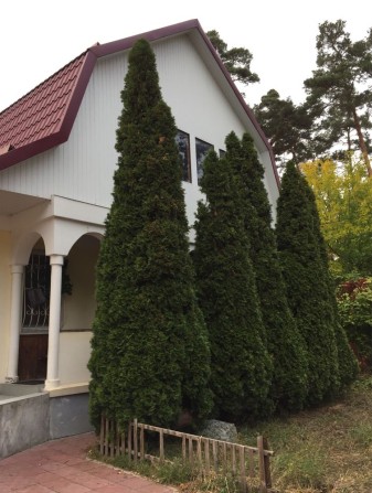 Здам в оренду Будинок в Бучі - фото 1