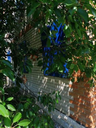 Здам будинок вул. Тополянська. - фото 1