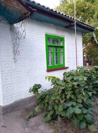 Приватний будинок на Київській - фото 1