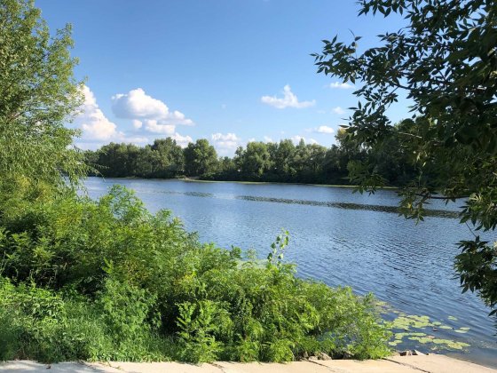 Сдається будинок під дачу у Києві в мальовничому місці на березі Київ