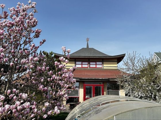 Будинок в Дніпрі з басейном та сауною, біля річки Дніпро