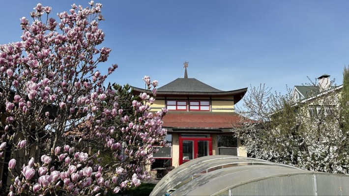 Будинок в Дніпрі з басейном та сауною, біля річки - фото 1