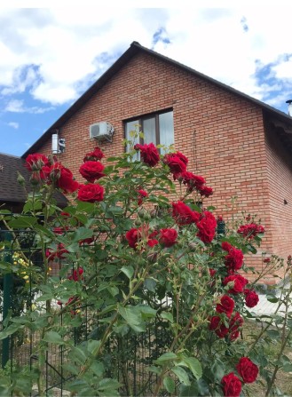 Здам в оренду будинок - фото 1