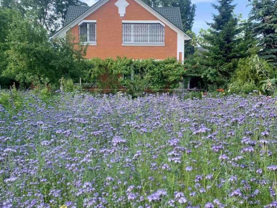 Будинок 200 м2 Басейн Генератор Богатирська Оболонь 10 хв до центру Київ