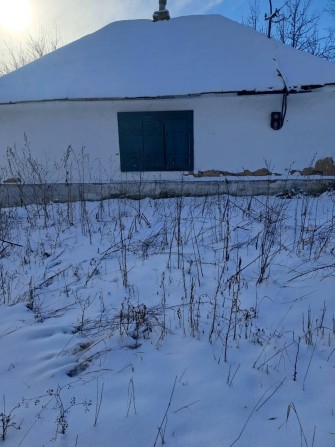 Здам в оренду єко дім - фото 1