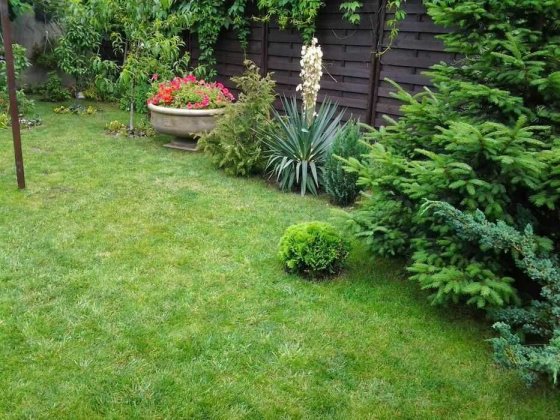 Совиньон-1, компактный домик на долгосрочно