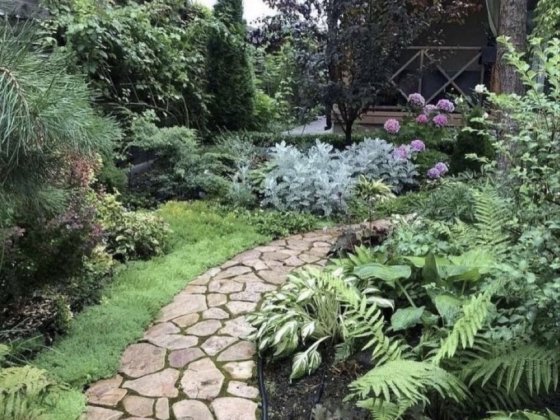 совиньон, аренда уютного дома