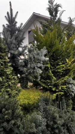 Оренда будинку Вінниця - фото 1